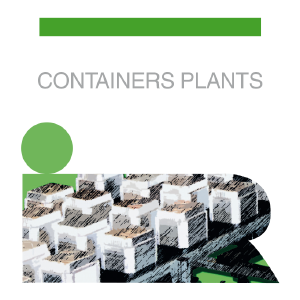 tasto_containers_p