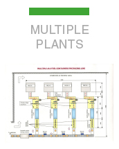 multiple_plants