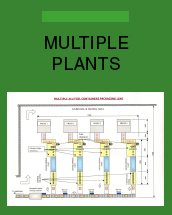 multiple_plants